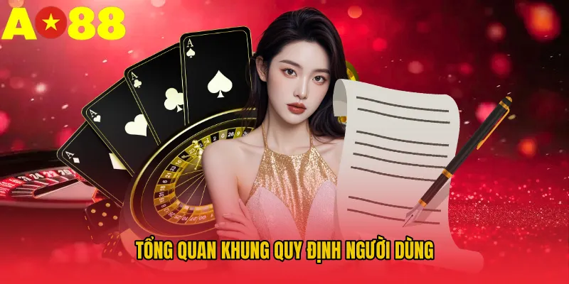 Tổng quan khung quy định người dùng